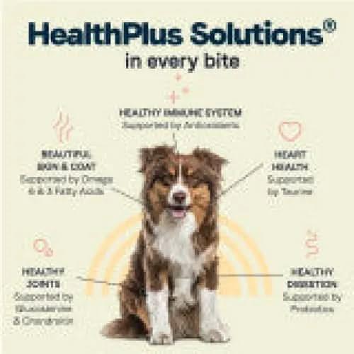 A brown and white dog sits in the center, surrounded by icons and text showing CANIDAE All Life Stages Large Breed Formula’s benefits: healthy joints, skin and coat, immune system, heart health, and digestion—all from premium dry dog food.