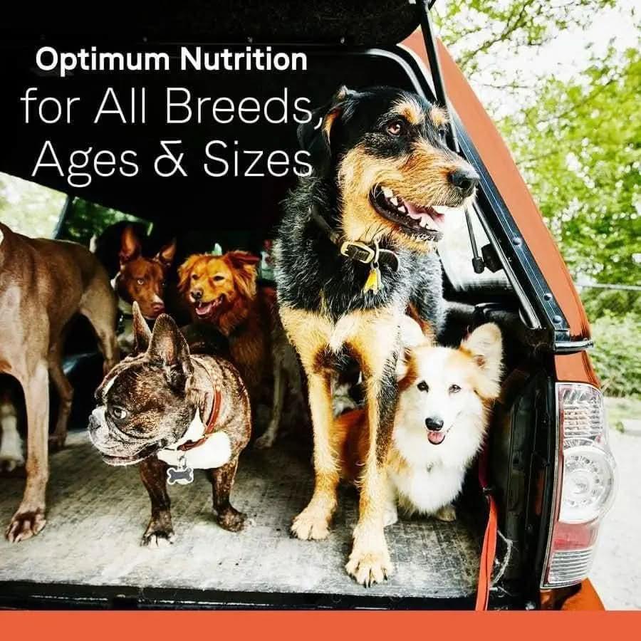 Several dogs stand in the back of a vehicle. Text reads: CANIDAE All Life Stages Multi-Protein Formula supports all breeds, ages & sizes with premium ingredients—chicken, turkey, lamb & fish meal. Trees and greenery fill the background.