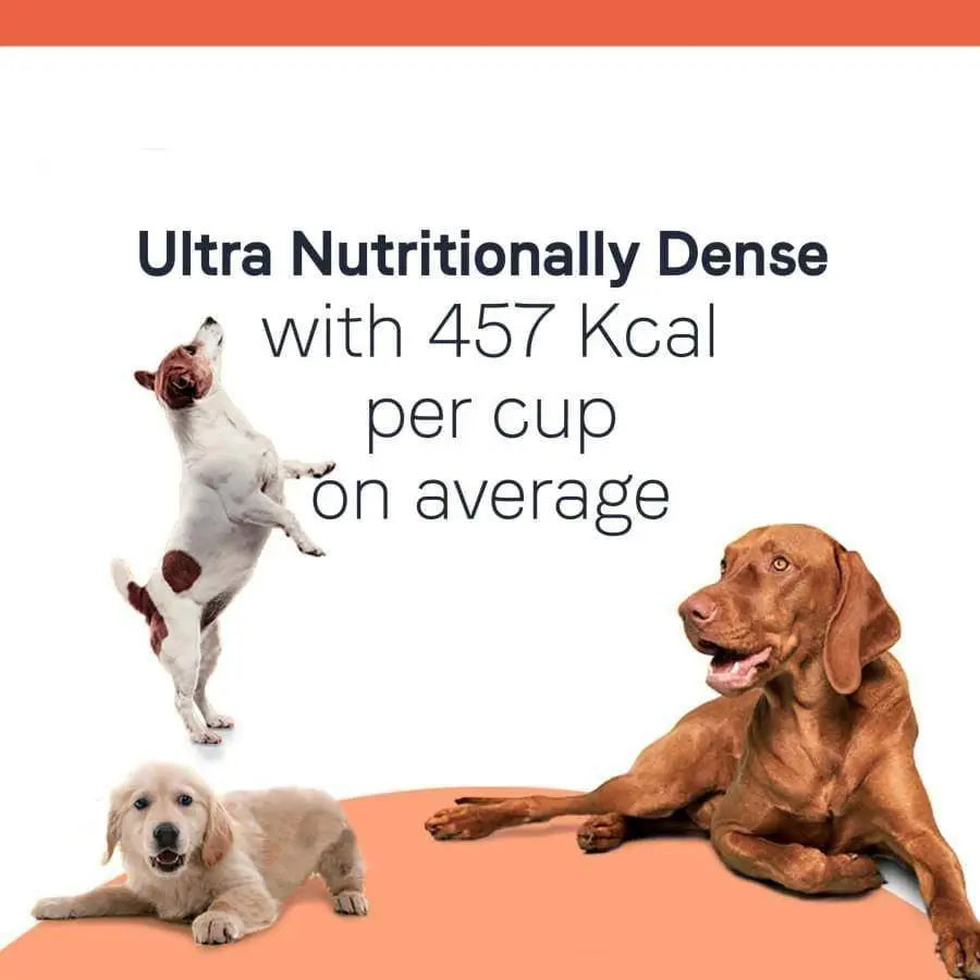 CANIDAE All Life Stages Multi-Protein Formula Dry Dog Food Chicken, Turkey, Lamb & Fish Meal Canidae CPD