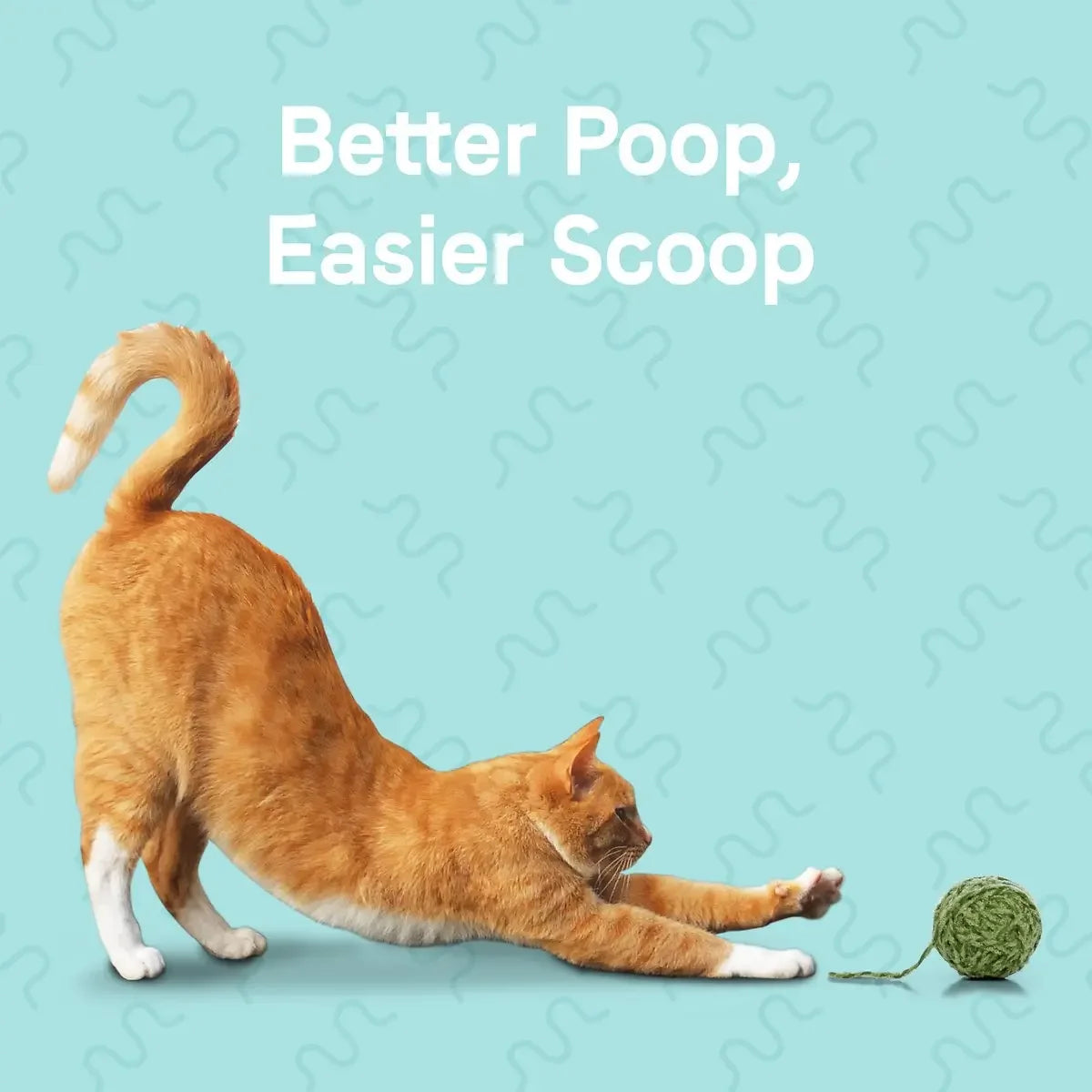 An orange and white cat stretches toward a green yarn ball on a light blue background under the text “Better Poop, Easier Scoop,” featuring CANIDAE Goodness for Digestion Formula with Real Chicken Dry Cat Food for healthy adult cats.