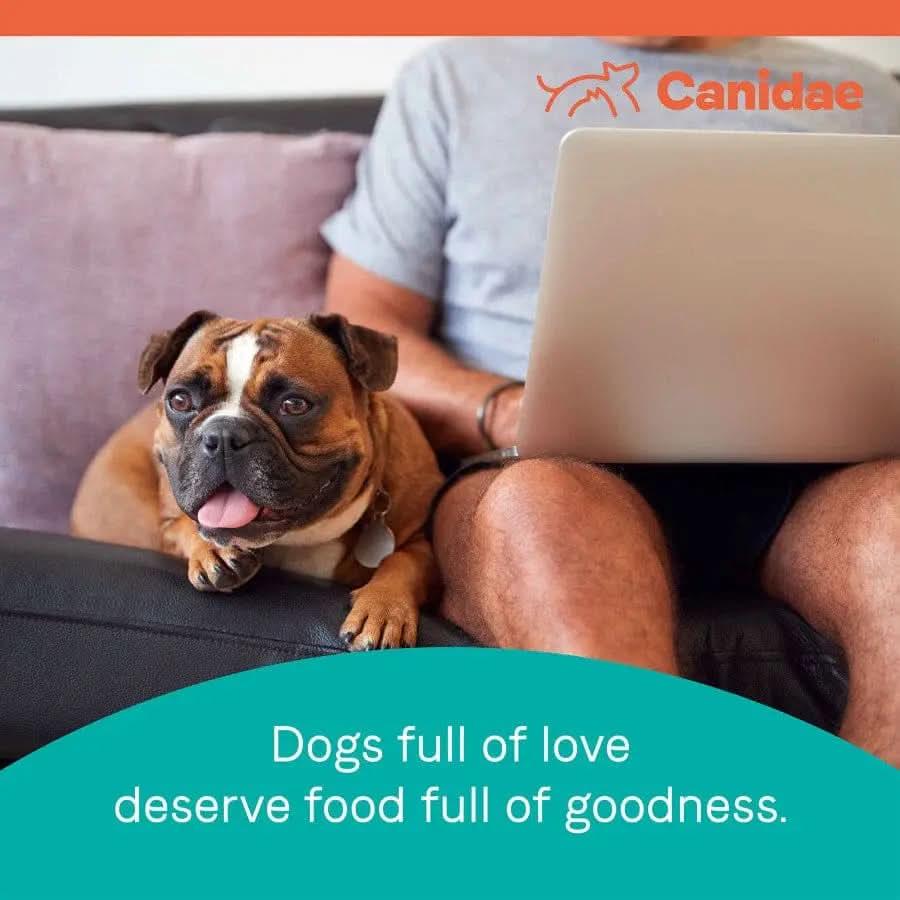 A person relaxes on a couch with a cheerful brown and white dog beside them. The image features the CANIDAE logo and the text: Dogs full of love deserve CANIDAE PURE Grain-Free Healthy Weight Real Chicken & Pea Recipe.