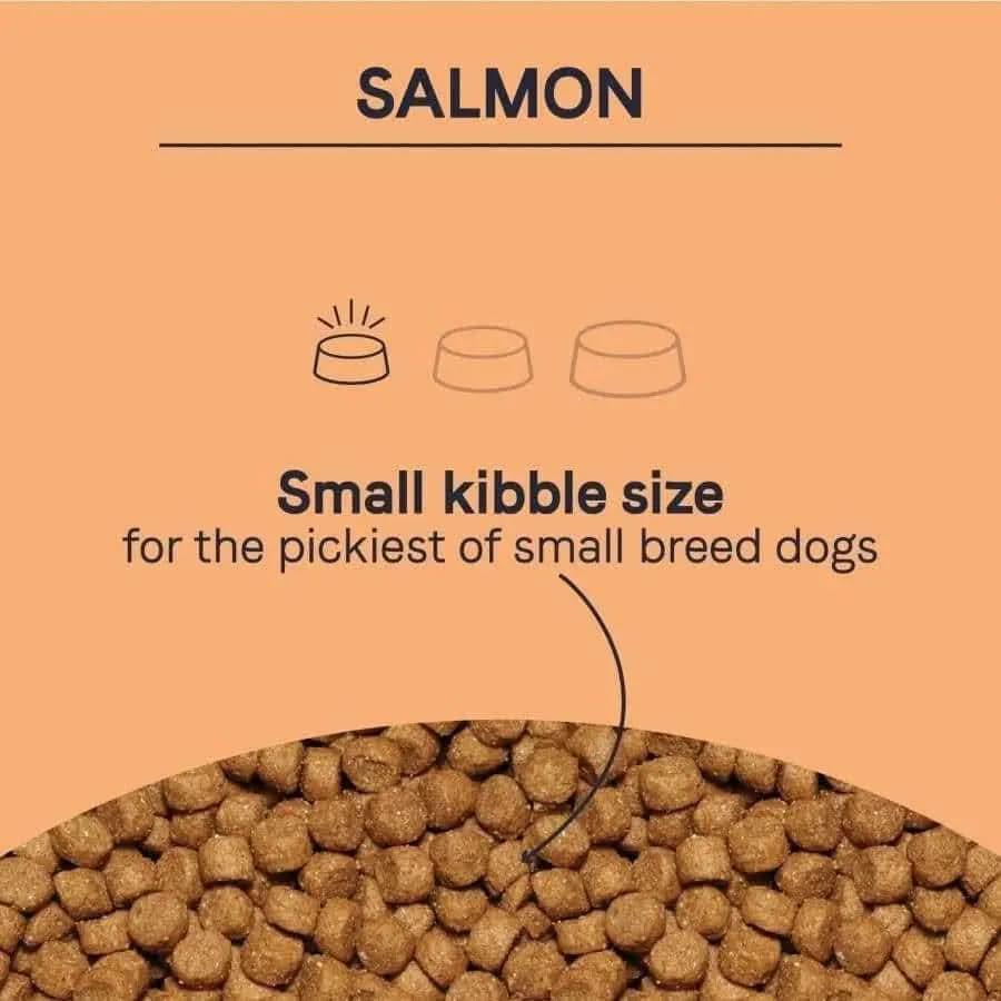 A label reads CANIDAE PURE Grain-Free Petite Small Breed Adult Raw Coated with Salmon Freeze-Dried Dry Dog Food above dog bowl icons and Small kibble size for picky small dogs. Bottom half shows grain-free small brown kibble pieces.