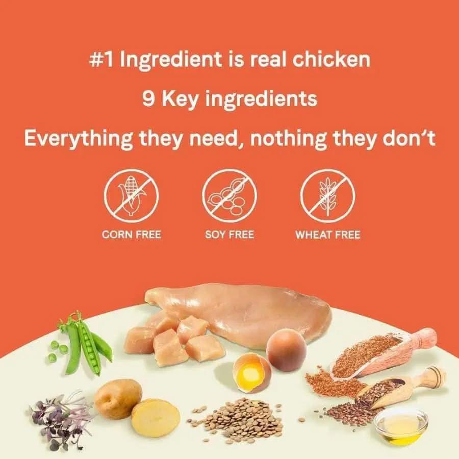 Infographic on orange background features CANIDAE PURE Grain-Free Puppy Real Chicken, Lentil & Whole Egg Recipe. Highlights: real chicken as #1 ingredient, 9 key ingredients, grain-free, corn free, soy free. Bags of CANIDAE dry dog food shown below.