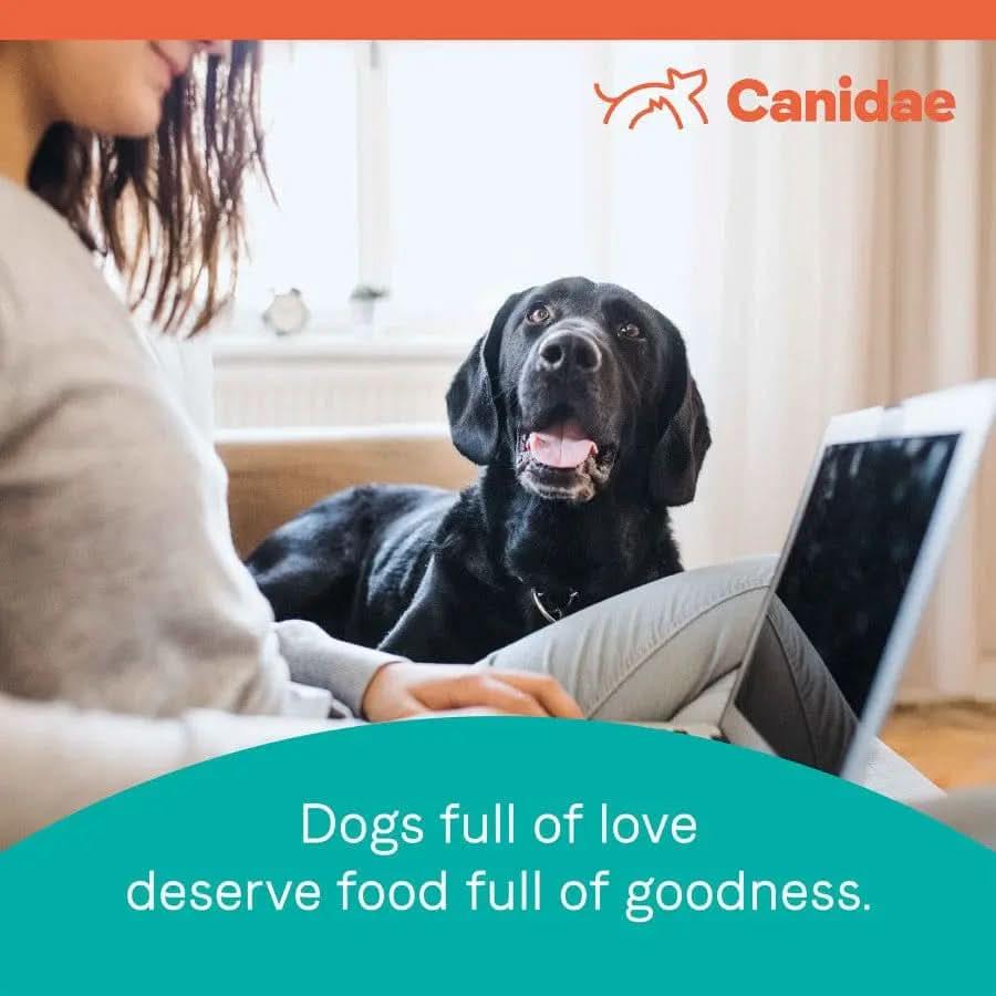 A woman sits with a laptop while a black dog gazes at her, mouth open. The text reads, “Dogs full of love deserve CANIDAE PURE Grain-Free Real Bison, Lentil & Carrot Recipe Dry Dog Food.” The CANIDAE logo appears in the top right corner.