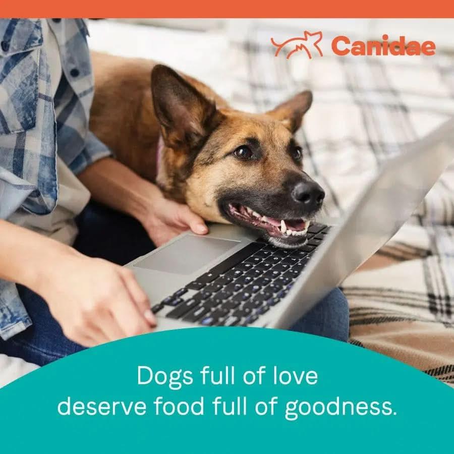 A happy dog rests its head on a laptop keyboard beside a person on a bed. The CANIDAE logo and text read: Dogs full of love deserve goodness—like CANIDAE PURE Grain-Free Real Lamb, Goat & Venison Meals Recipe Good Dry Dog Food.