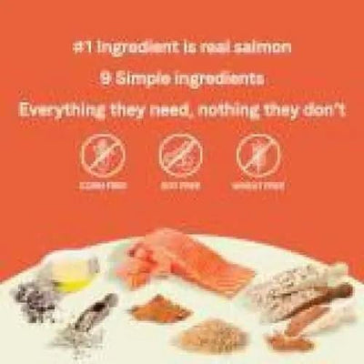 Orange background with white text: #1 ingredient is real salmon. 9 simple ingredients—everything your puppy needs, nothing they don’t. Features salmon, wholesome grains, oil & herbs in CANIDAE PURE with Wholesome Grains Puppy Real Salmon & Oatmeal Recipe.