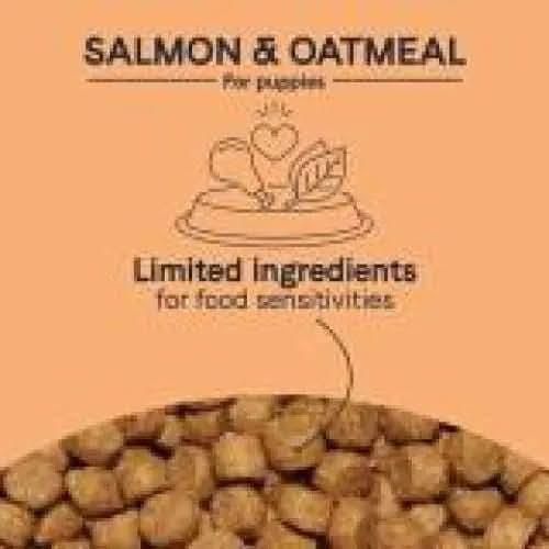 The label reads CANIDAE PURE with Wholesome Grains Puppy Real Salmon & Oatmeal Recipe, featuring a food and heart icon. It highlights limited ingredient dog food for sensitivities, with close-up kibble on an orange background.