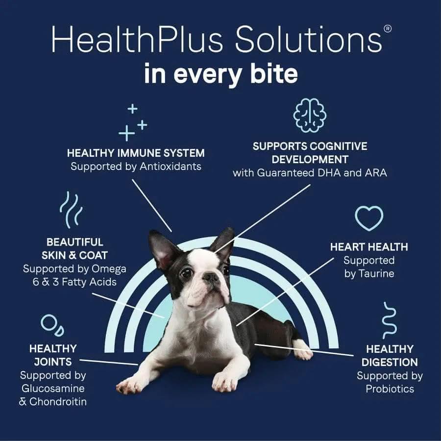 A black and white Boston Terrier sits before icons and text highlighting CANIDAE PURE with Wholesome Grains Puppy Real Salmon & Oatmeal Recipe, boosting immune, coat, heart, joint, and digestive health with antioxidants and probiotics.