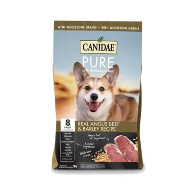 A bag of CANIDAE PURE with Wholesome Grains Real Beef & Barley Recipe Dry Dog Food, featuring a smiling Corgi and images of beef steaks and grains, highlights limited ingredients and wholesome grain nutrition.