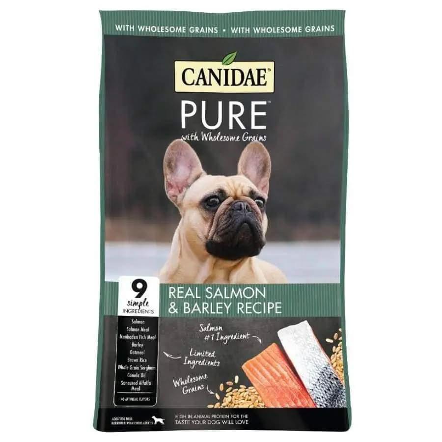 A bag of CANIDAE PURE with Wholesome Grains Real Salmon & Barley Recipe Dry Dog Food, featuring a French Bulldog and images of salmon fillets and barley on the front.