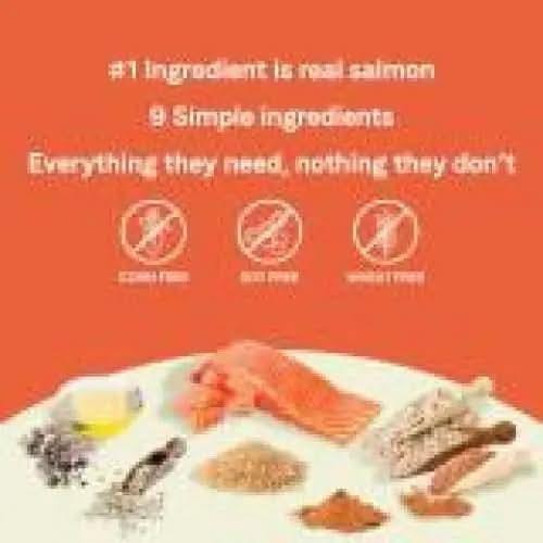 Infographic with orange background reads, “#1 ingredient: real salmon. 9 simple ingredients. Everything they need, nothing they don’t,” highlighting CANIDAE PURE with Wholesome Grains Real Salmon & Barley Recipe—corn, soy & wheat free.