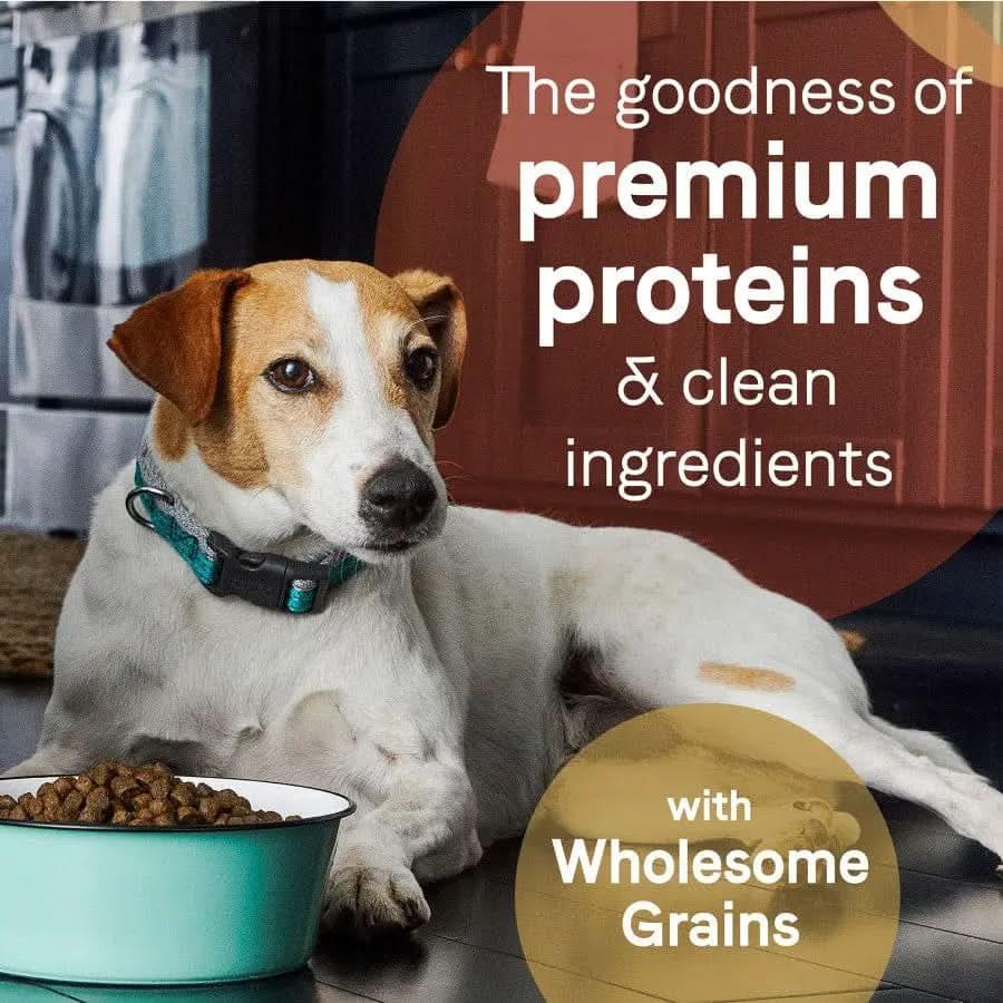 A brown and white dog lies on a kitchen floor next to a bowl of dry food. Text reads: “CANIDAE PURE with Wholesome Grains Real Salmon & Barley Recipe—premium proteins and clean ingredients for your dog.”.