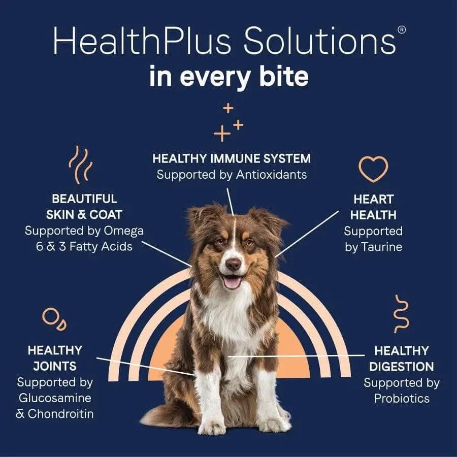 A brown and white dog sits in the center, surrounded by text and icons listing CANIDAE PURE with Wholesome Grains Real Salmon & Barley Recipes benefits—healthy joints, skin, immune system, heart, and digestion—supported by its limited ingredients.