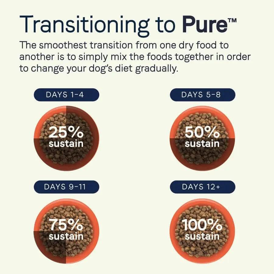 Infographic titled Transitioning to CANIDAE PURE with Wholesome Grains Real Salmon & Barley Recipe shows a gradual switch: Days 1–4, 25% new food; Days 5–8, 50%; Days 9–11, 75%; Days 12+, 100%, with bowls of kibble for each stage.