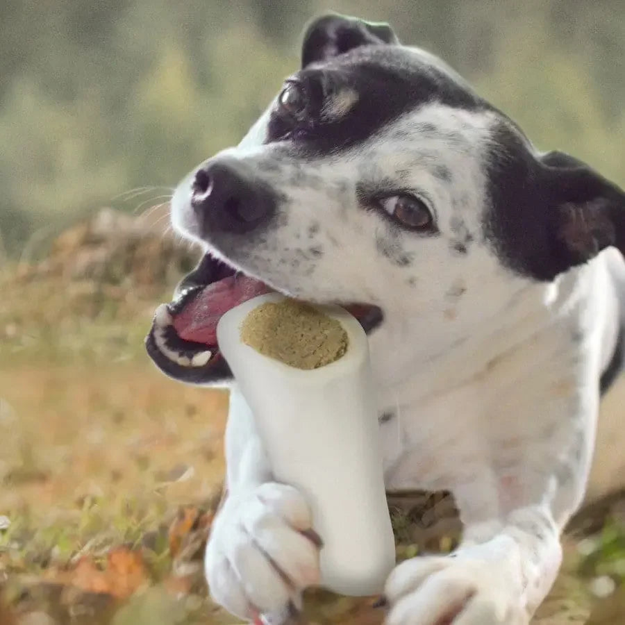 Cadet Stuffed Shin Bone for Dogs Cadet