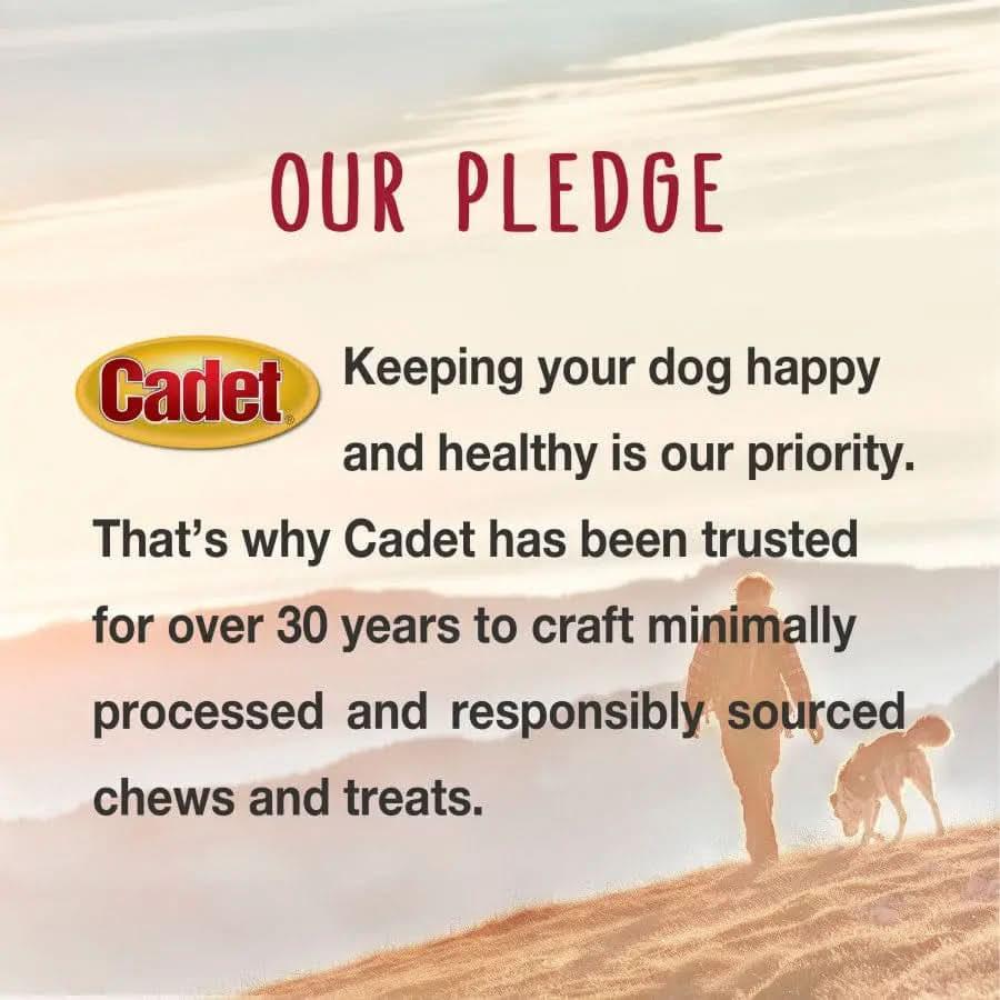 Cadet® Pork Hide Roll Dog Treats 10 Inch Cadet®