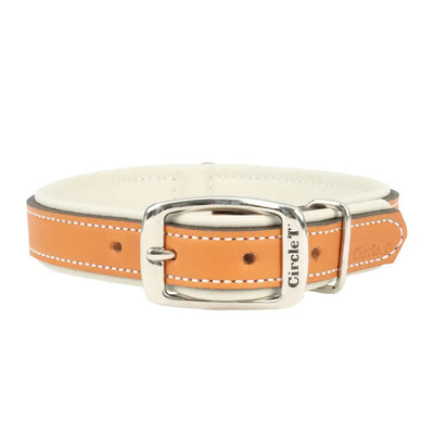 Circle T® Double-Ply Fashion Leather Collar Coastal Pet