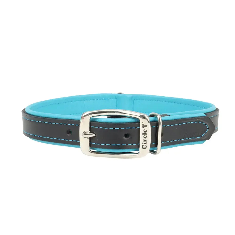 Circle T® Double-Ply Fashion Leather Collar Coastal Pet