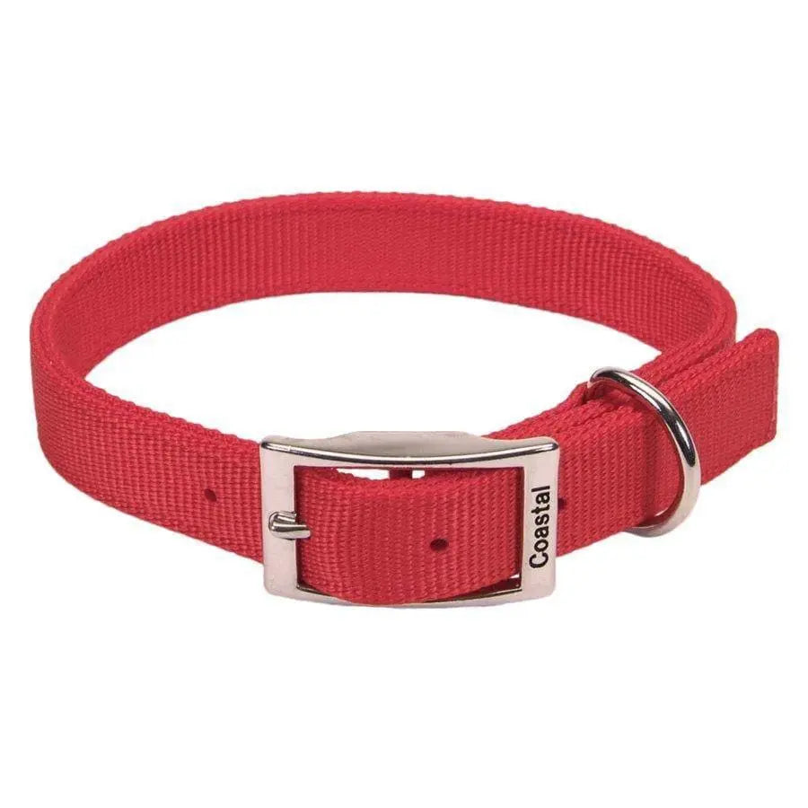 Dog Collars – Talis Us