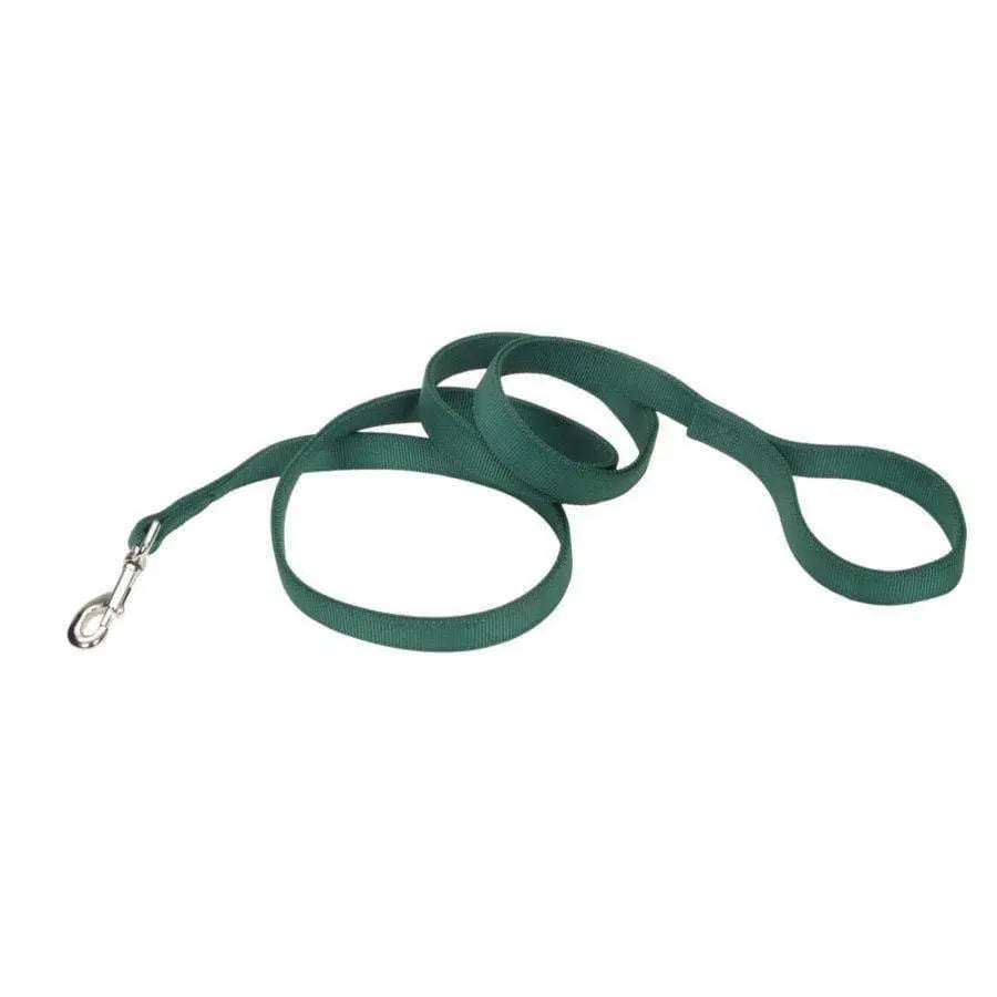 Coastal Double-Ply Nylon Dog Leash Coastal CPD