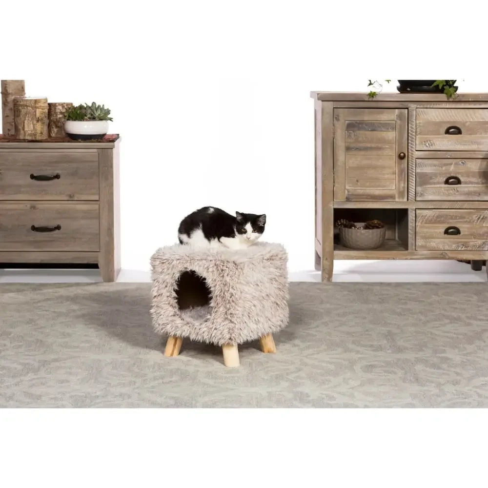 Cozy Cube Prevue Pet