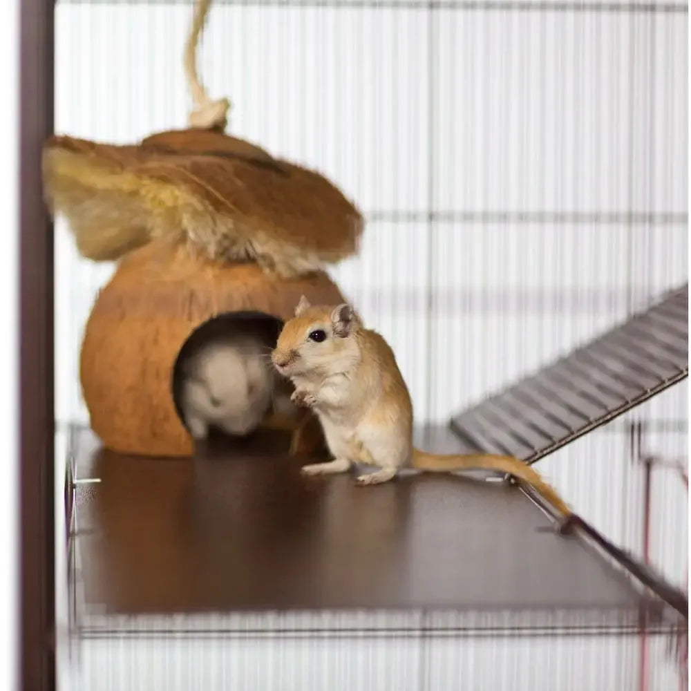 Critter Hut Prevue Pet