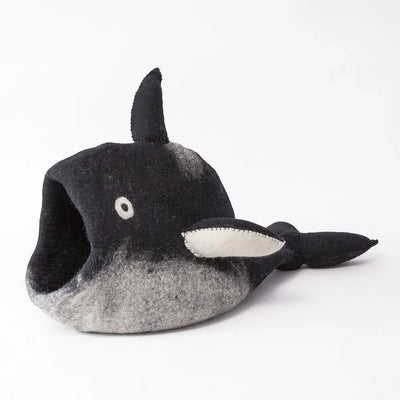 Dharma Dog Karma Cat Dharma Dog Karma Cat