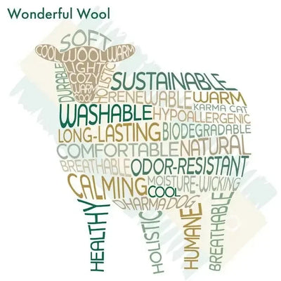 Dharma Dog Karma Cat Wool Pet Cave, Cat Head, Turquoise Small Dogs & Cat Bed Dharma Dog Karma Cat