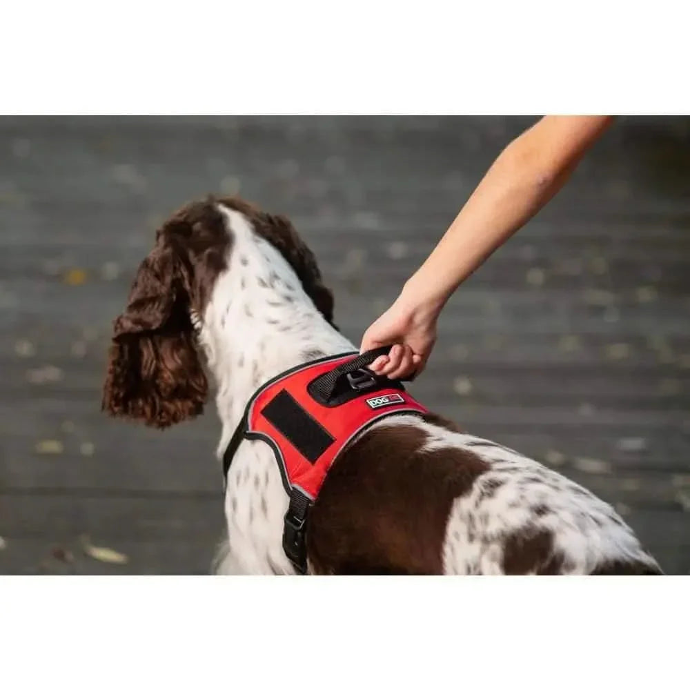 Dogline Quest Multipurpose Harness Dogline WP
