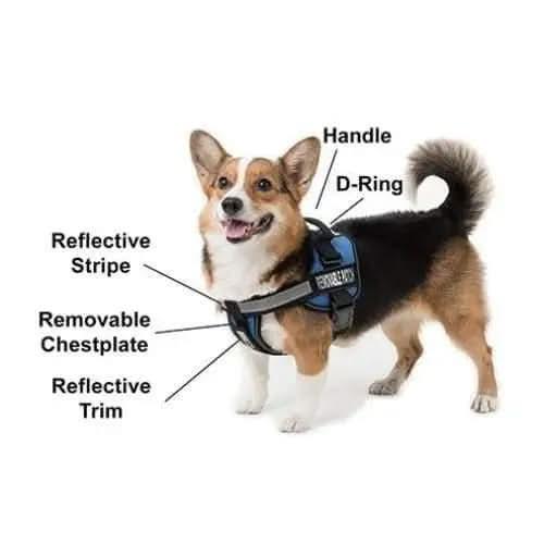 Dogline Unimax Multi Purpose Harness Dogline WP