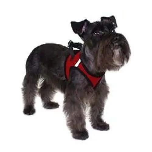 Dogline York Mesh Harness Dogline WP
