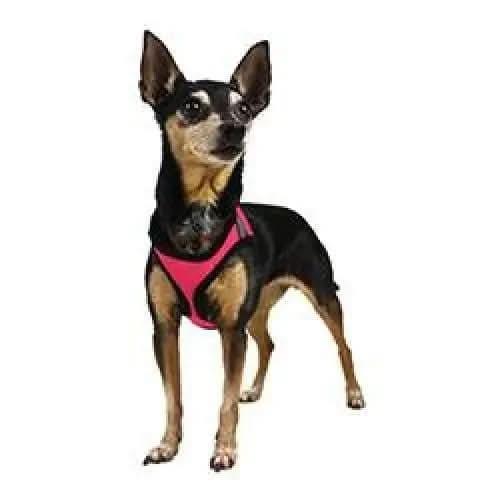 Dogline York Mesh Harness Dogline WP