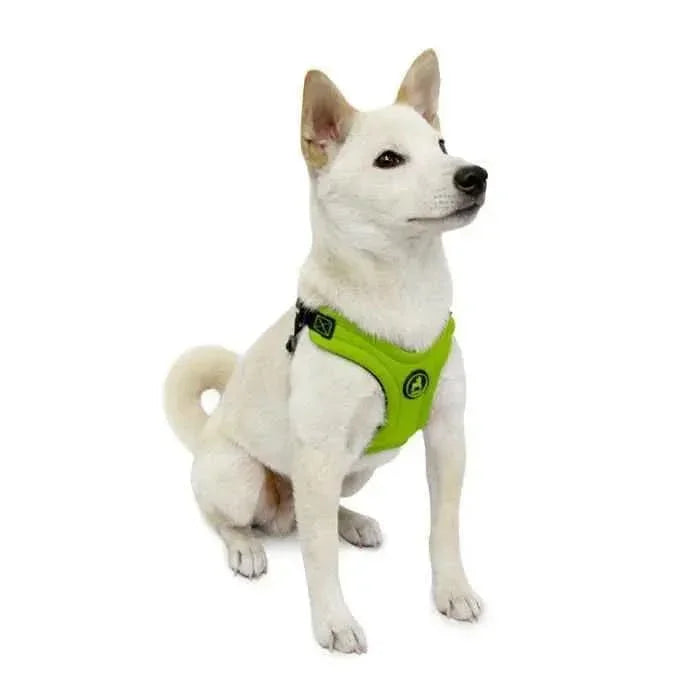 Escape Free Sport Harness Gooby WP