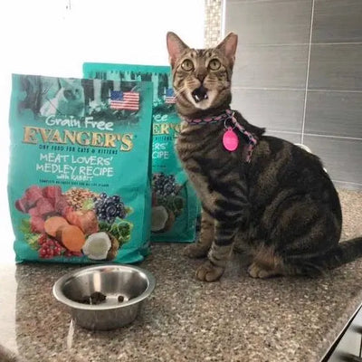 Evanger's Grain Free Meat Lovers Medley Recipe With Rabbit For Cats 4.4 lb Evanger's