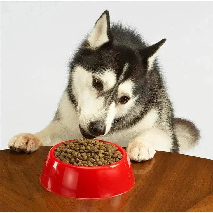 Evanger's Grain-Free Meat Lovers Medley With Rabbit Dog Dry Food Evanger's