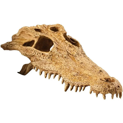 Exo Terra Terrarium Crocodile Skull Decoration Exo-Terra
