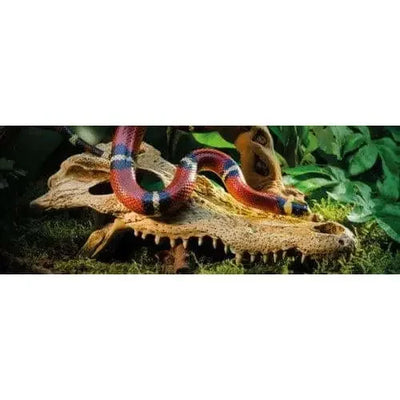 Exo Terra Terrarium Crocodile Skull Decoration Exo-Terra