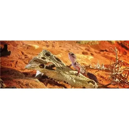 Exo Terra Terrarium Crocodile Skull Decoration Exo-Terra