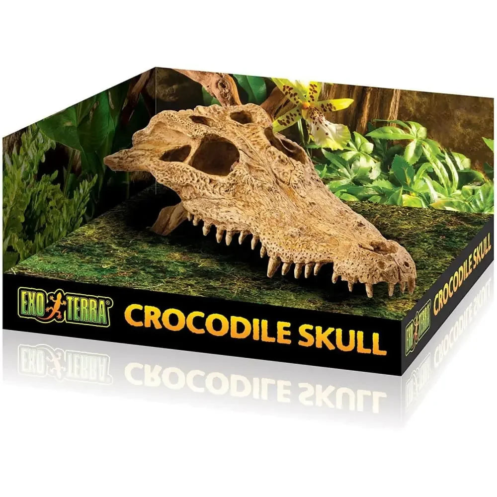 Exo Terra Terrarium Crocodile Skull Decoration Exo-Terra