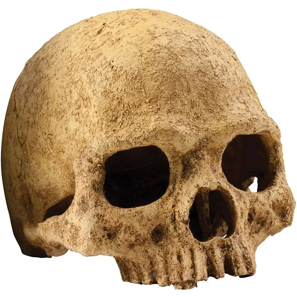 Exo Terra Terrarium Primate Skull Decoration Exo-Terra