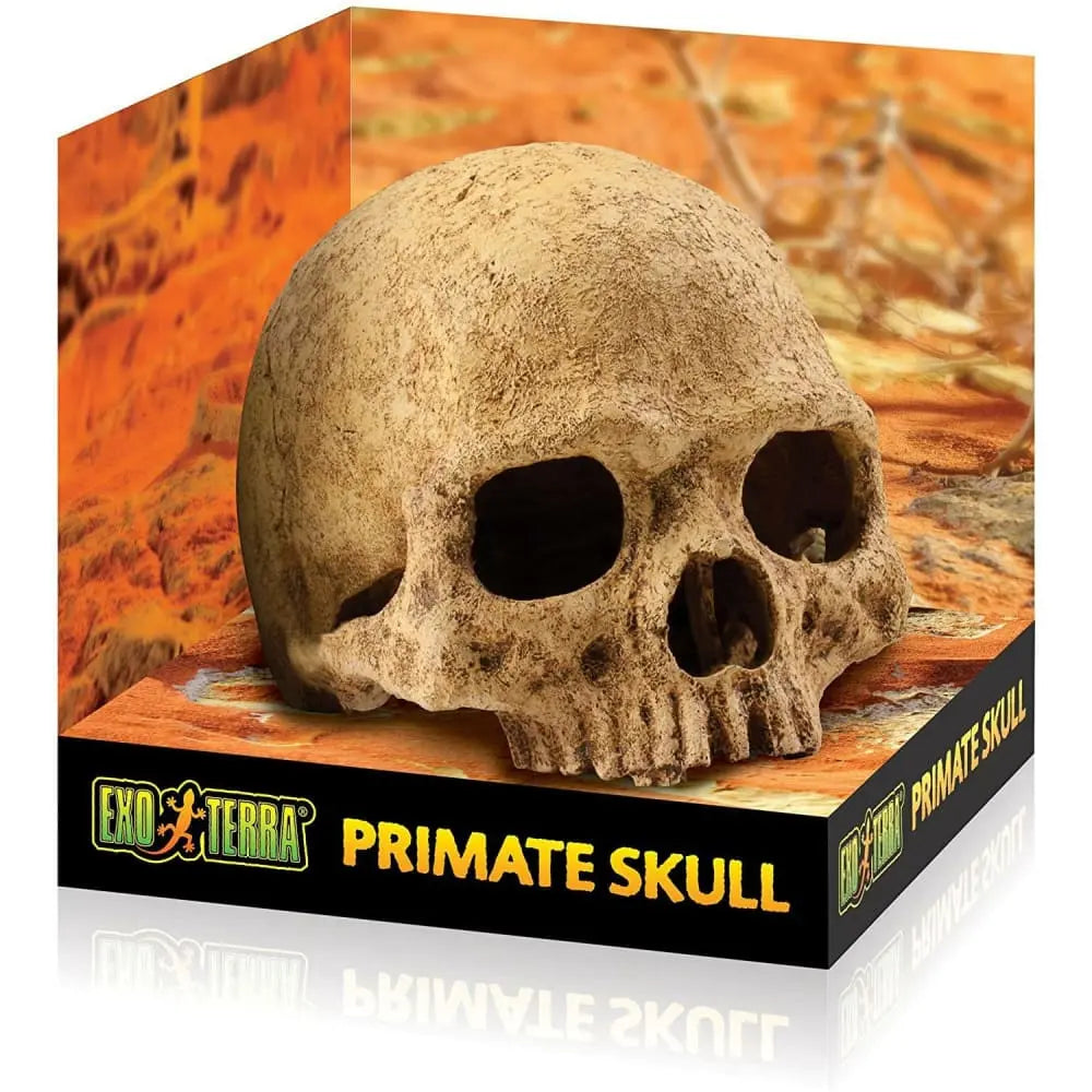 Exo Terra Terrarium Primate Skull Decoration Exo-Terra
