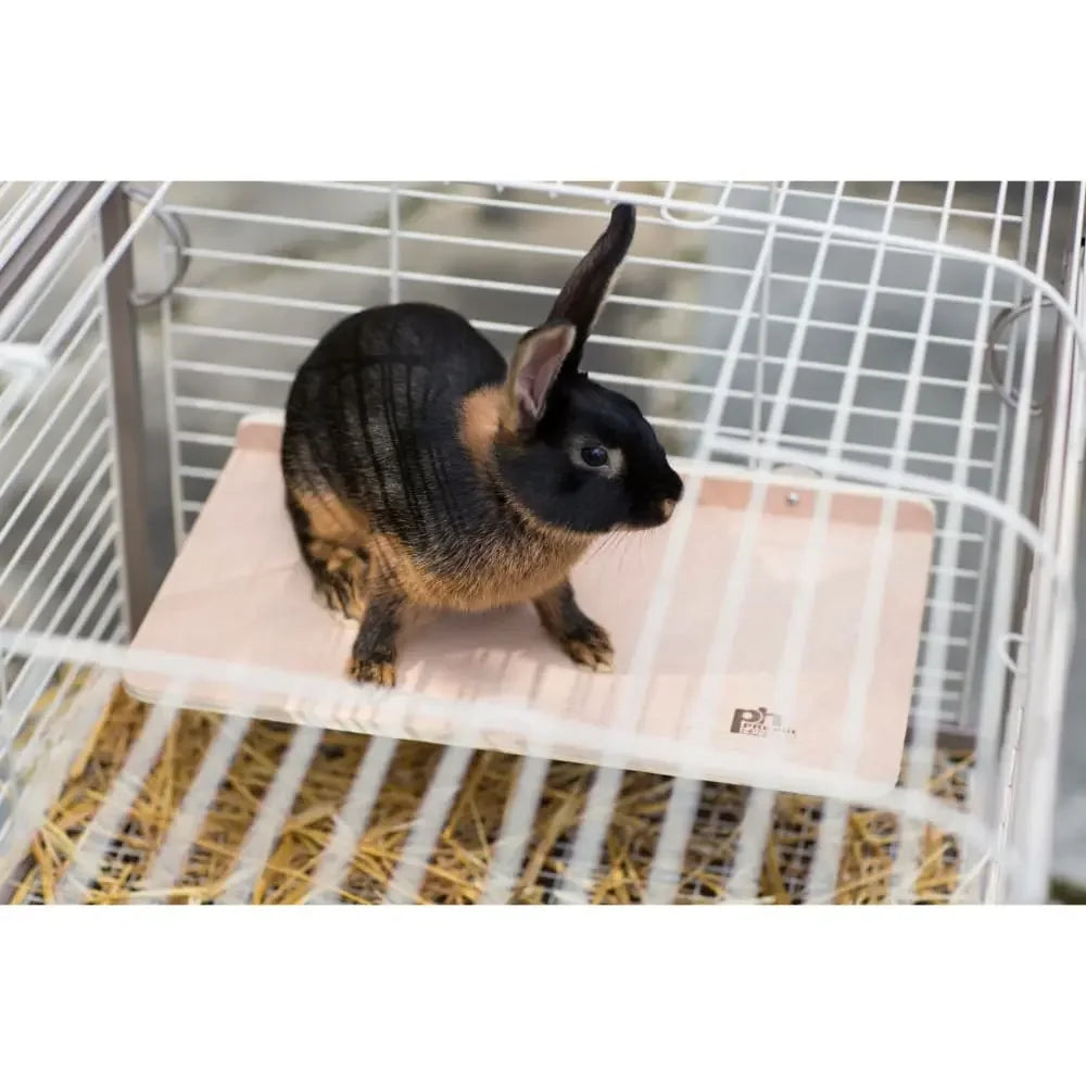 Extra-Large Rectangular Platform Prevue Pet