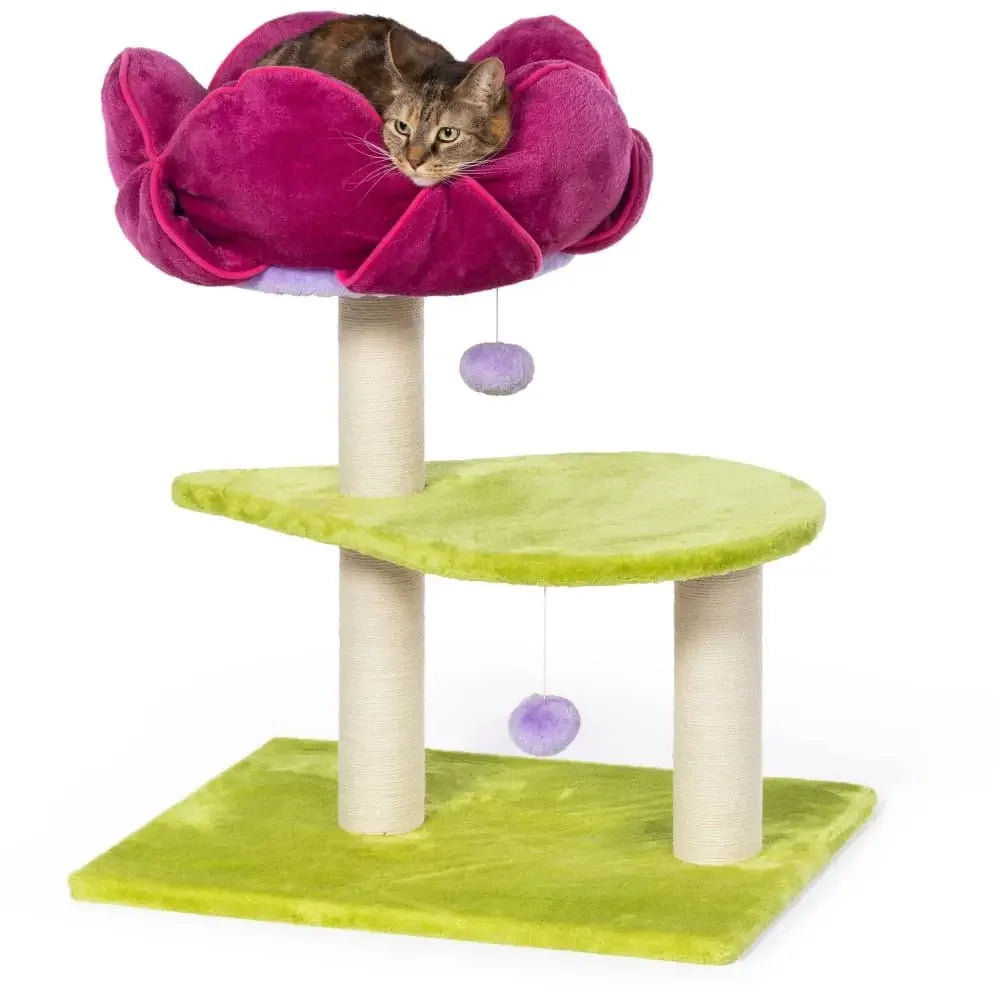 Flower Power Prevue Pet