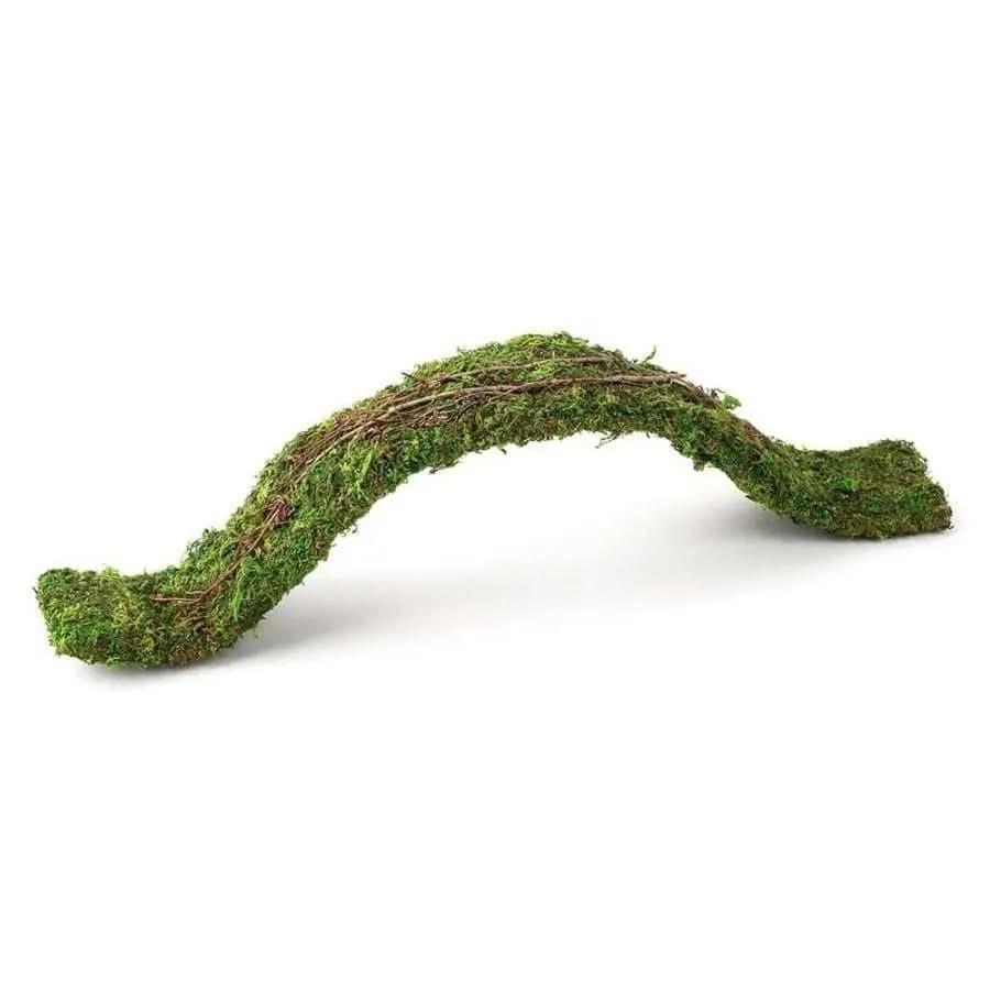 Galapagos Flexible Bridge Terrarium Ornament Flexible Bridge Fresh Green Galapagos CPD