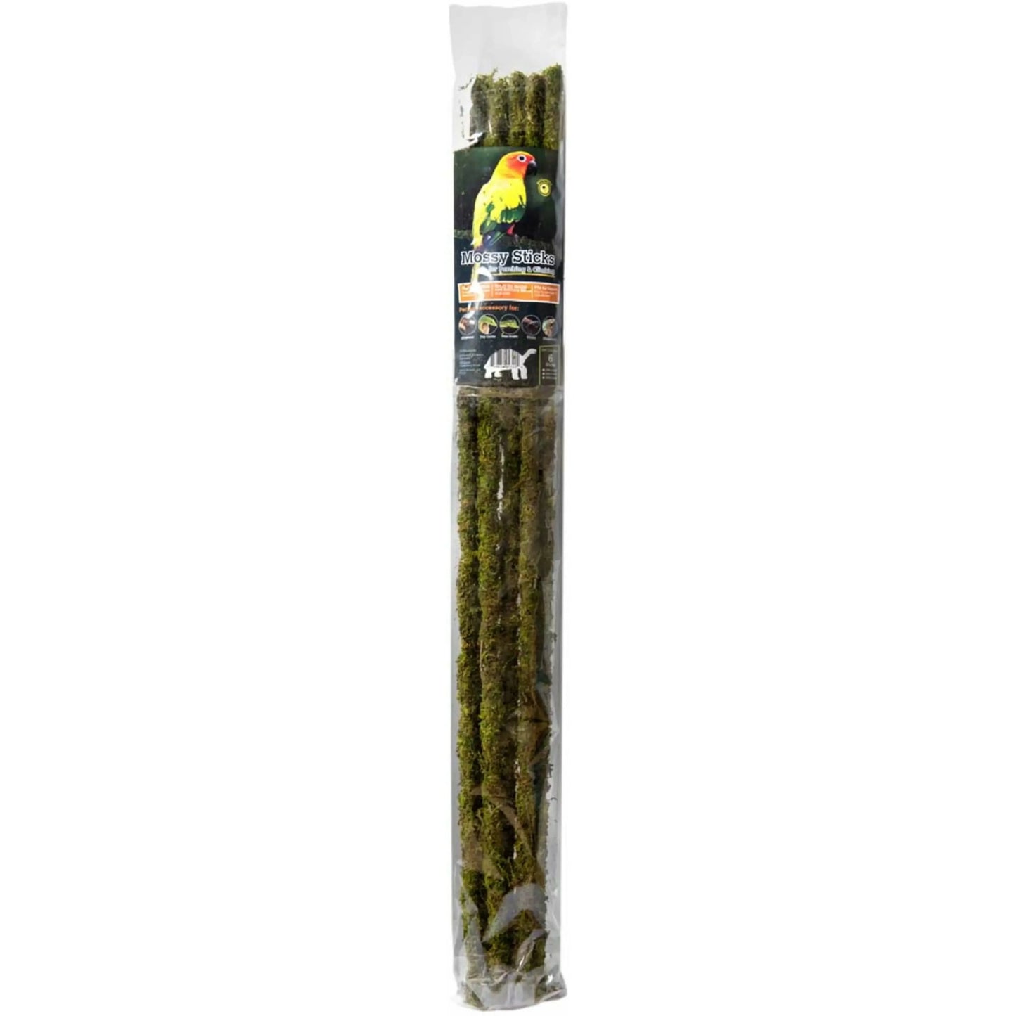 Galapagos Mossy Sticks Terrarium Ornament Mossy Sticks Fresh Green 6 ct Galapagos CPD