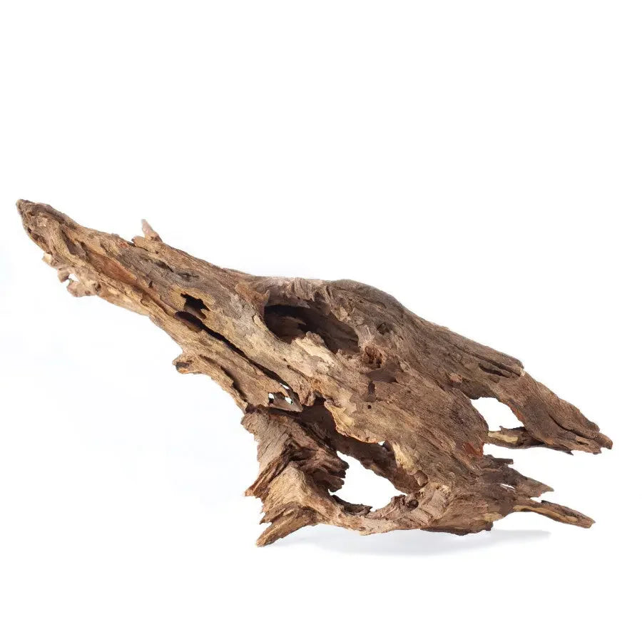 Galapagos Natural Driftwood Hollow Tree Root 30-40 in Galapagos