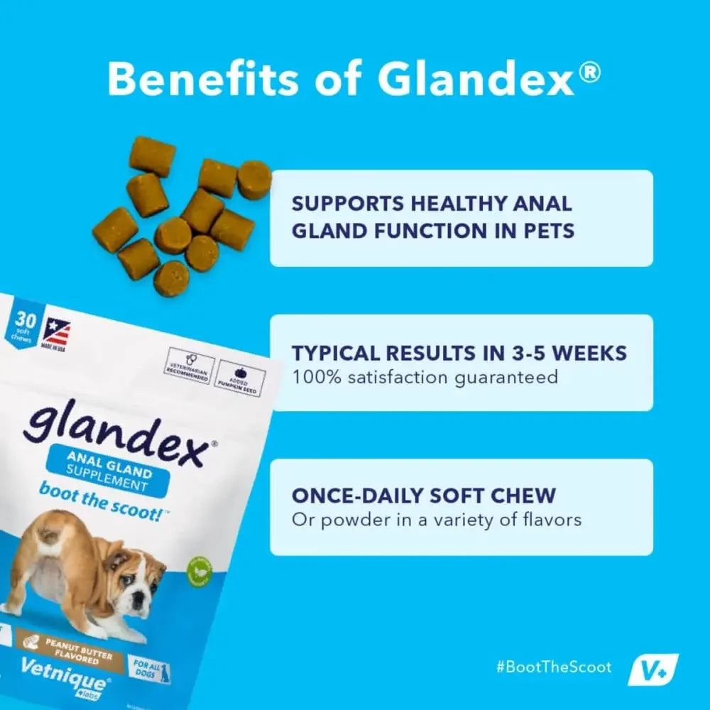 Glandex Anal Gland Soft Chew Peanut Butter Glandex