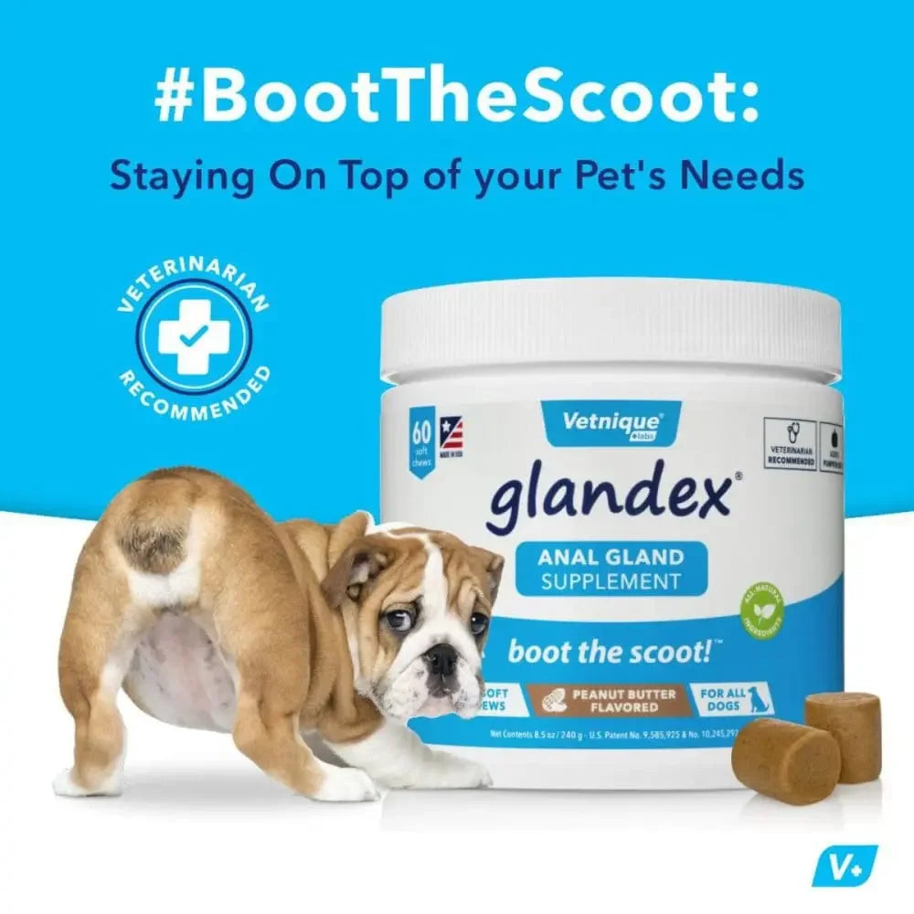 Glandex Anal Gland Soft Chew Peanut Butter Glandex
