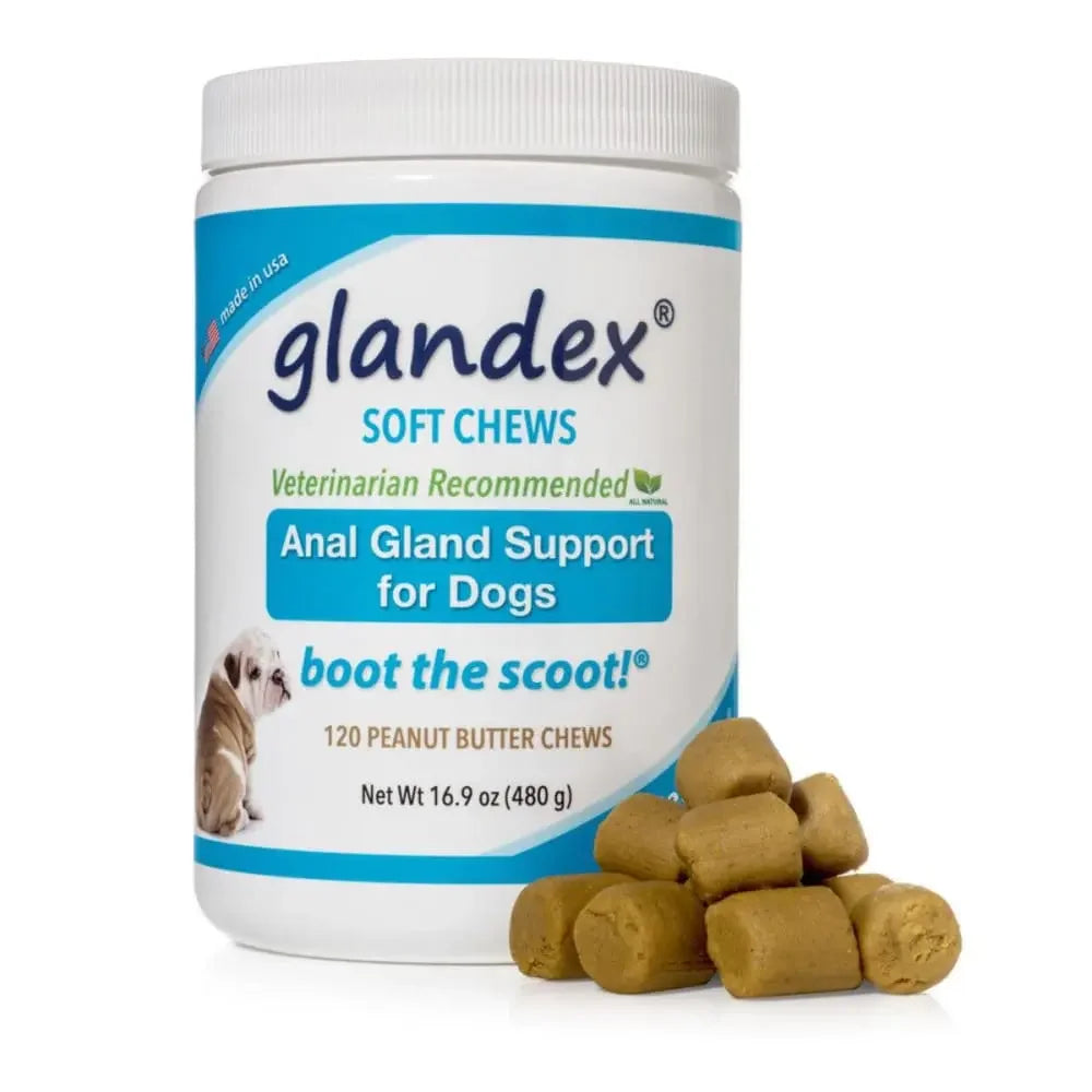 Glandex Anal Gland Soft Chew Peanut Butter Glandex