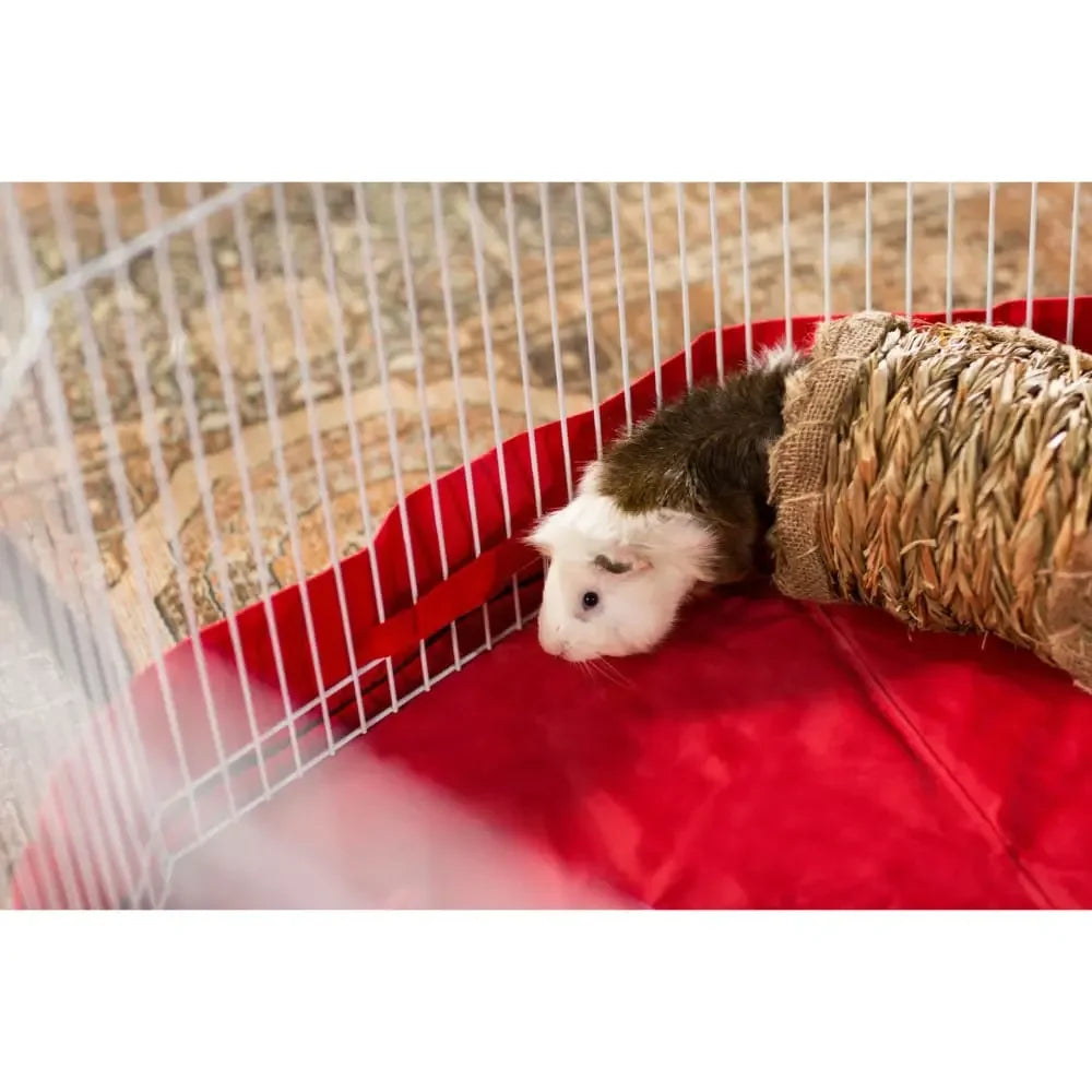 Grass Tunnel Prevue Pet